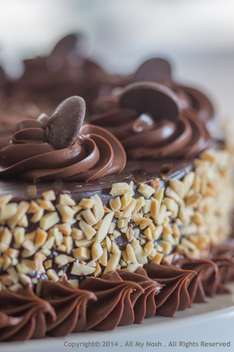 Cherry Chocolate Almond Cake - 1