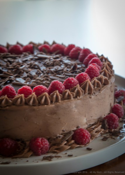 Chocolate Raspberry Cake-1